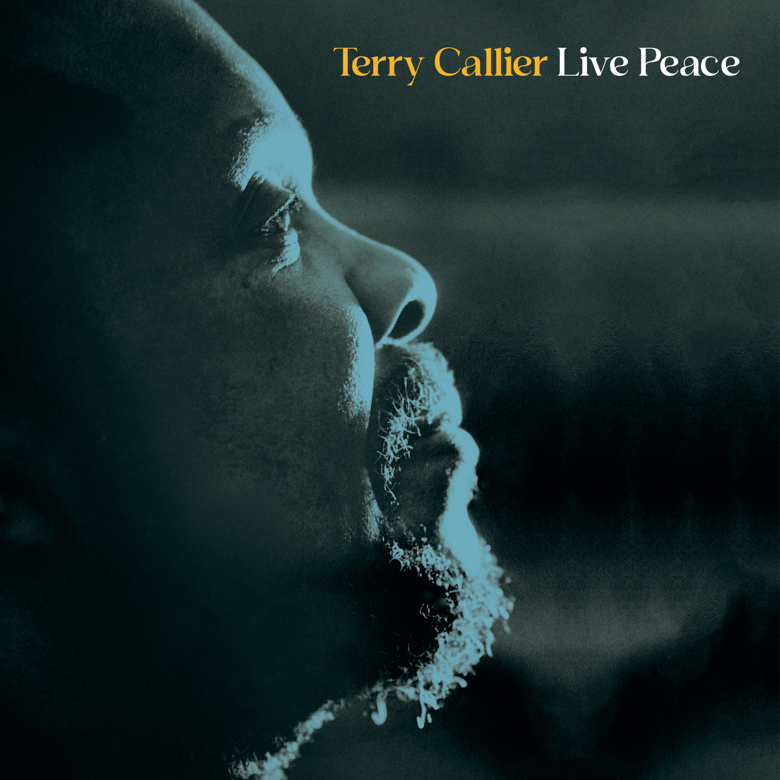 Terry Callier - Live Peace - BBE Music - Barely Breaking Even